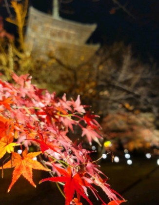 京都　紅葉